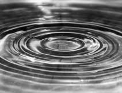 The Ripple Effect of Our Actions